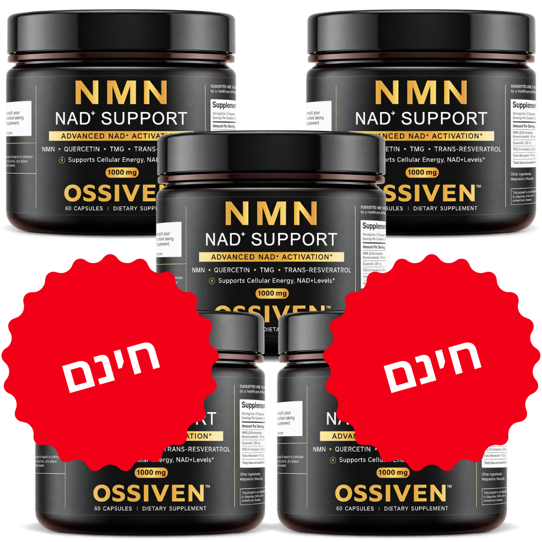 Ossiven