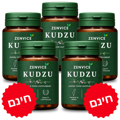 Zenvice