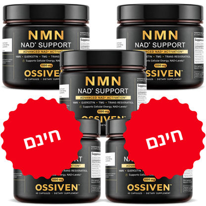 Ossiven
